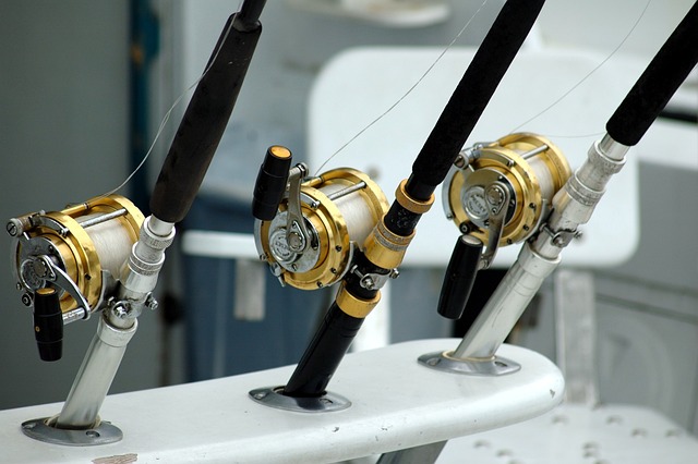 fishing reels 1674749 640