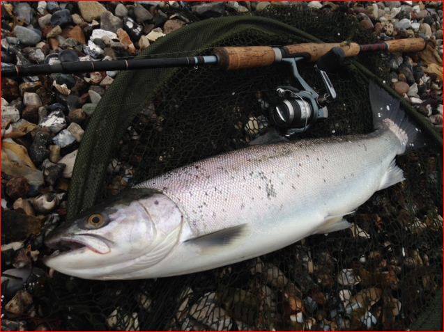 sea trout lures