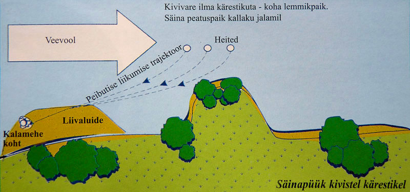 joonis-2