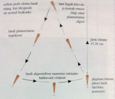 joonis-12