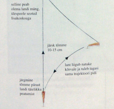 joonis-13