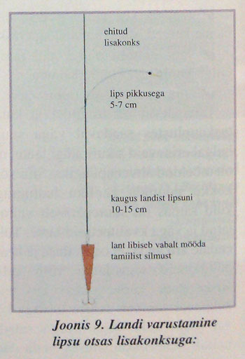 joonis-9