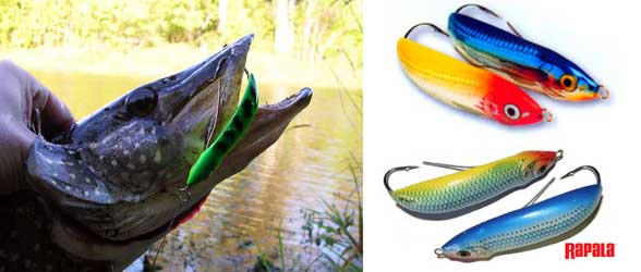 rapala-minnow-spoon