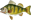 :fish2: :fish2: